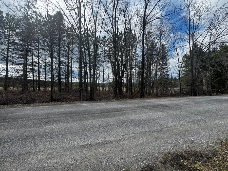 v/l 2 acre S Saddler Road, Chase, MI 49623 - #2