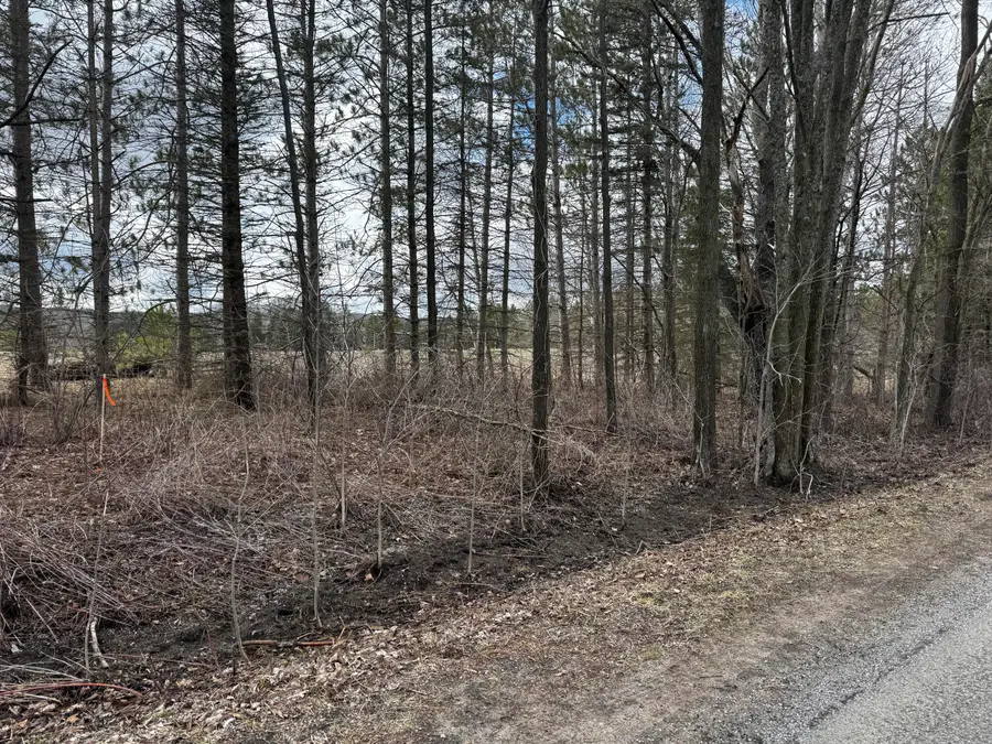 v/l 2 acre S Saddler Road, Chase, MI 49623 - #3