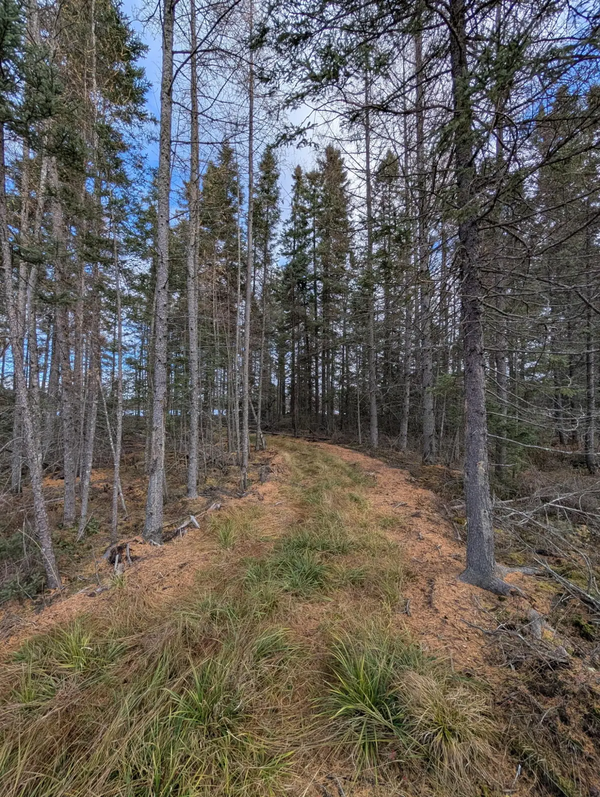 VL Slough Lake Road, Gwinn, MI 49841 - #1