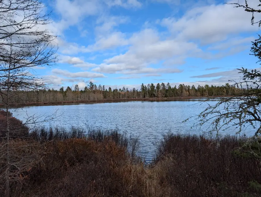 VL Slough Lake Road, Gwinn, MI 49841 - #2