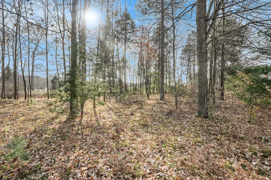 12215 Lila Court, Stanwood, MI 49346 - #2