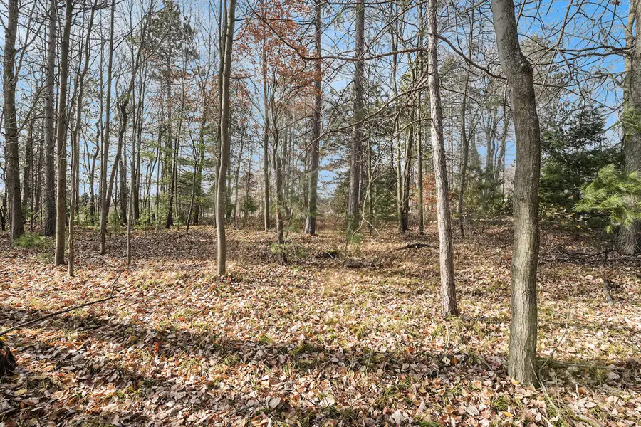 12215 Lila Court, Stanwood, MI 49346 - #3