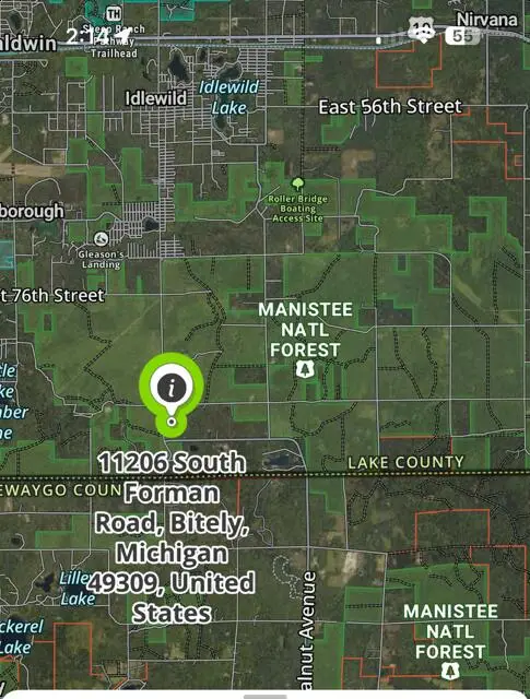 11206 S Forman Road, Idlewild, MI 49642