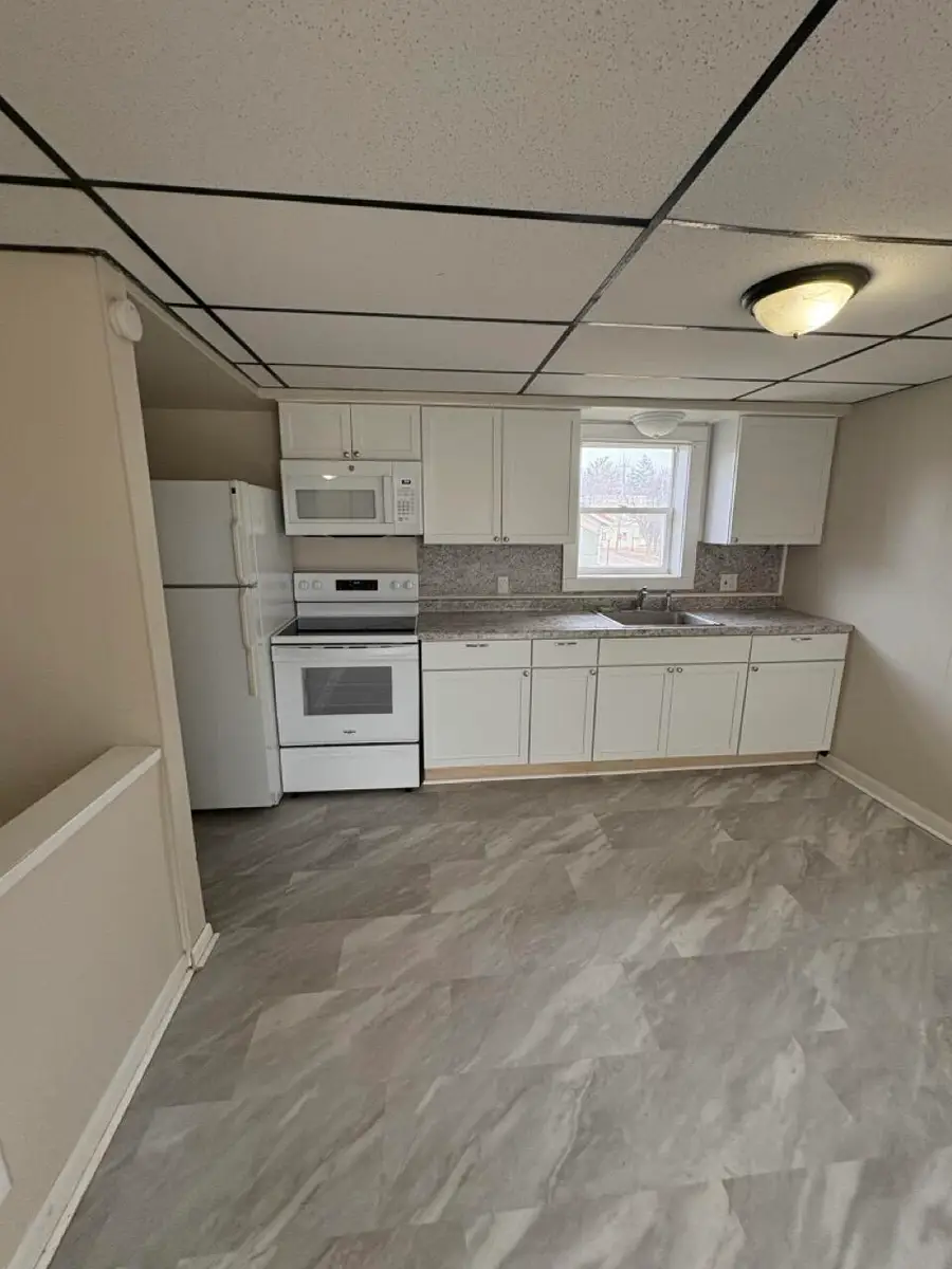 258 E Adams Street, Ionia, MI 48846 - #3