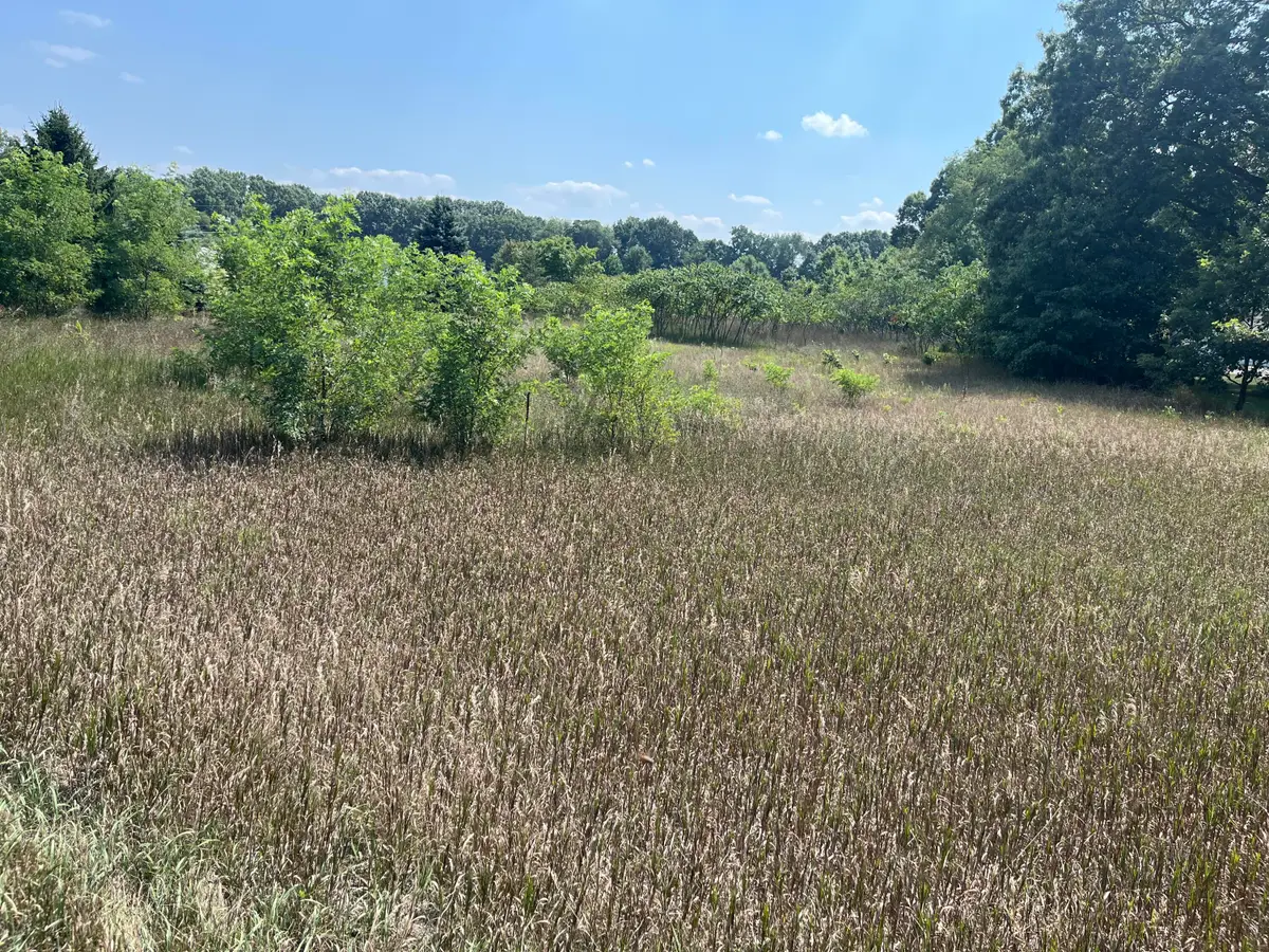 3380 Babylon Road, Allegan, MI 49010 - #1