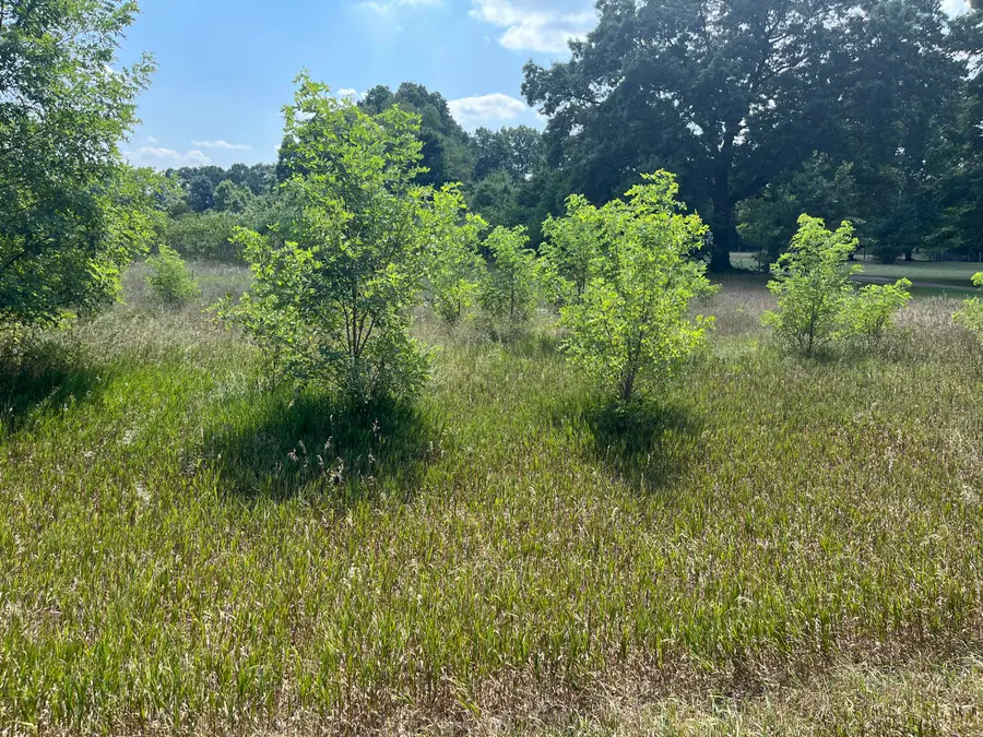 3380 Babylon Road, Allegan, MI 49010 - #2