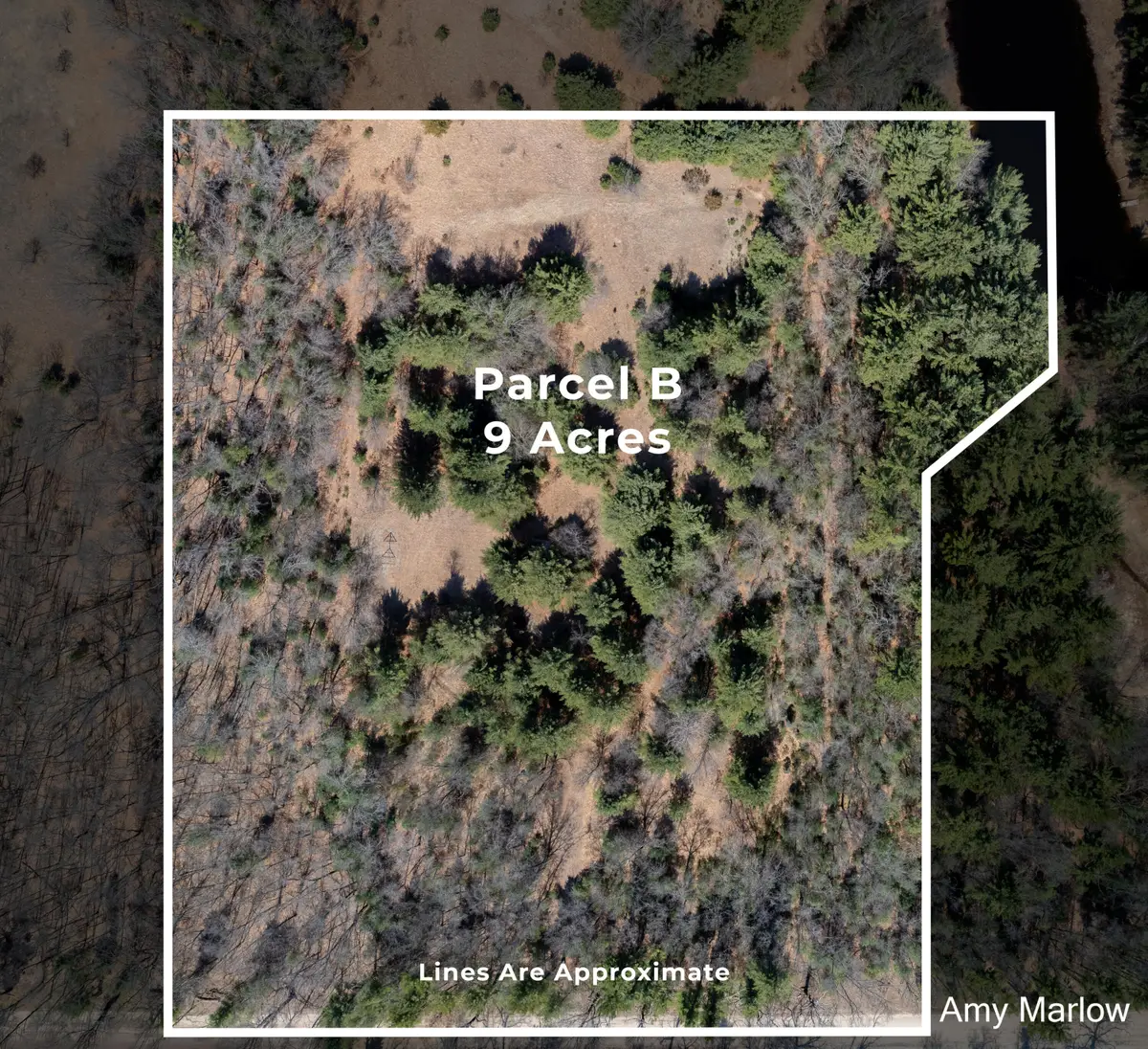 4649 E 28th Street, White Cloud, MI 49349 - #1