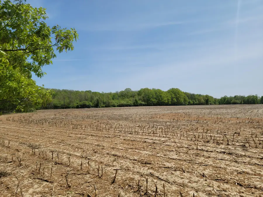 Leonard Road, Nunica, MI 49448 - #2