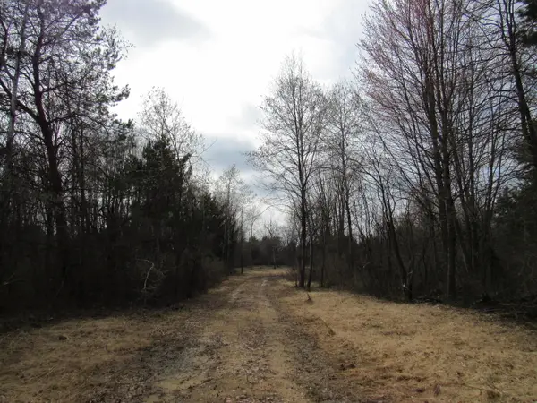 3889 Dalson Road, Twin Lake, MI 49457