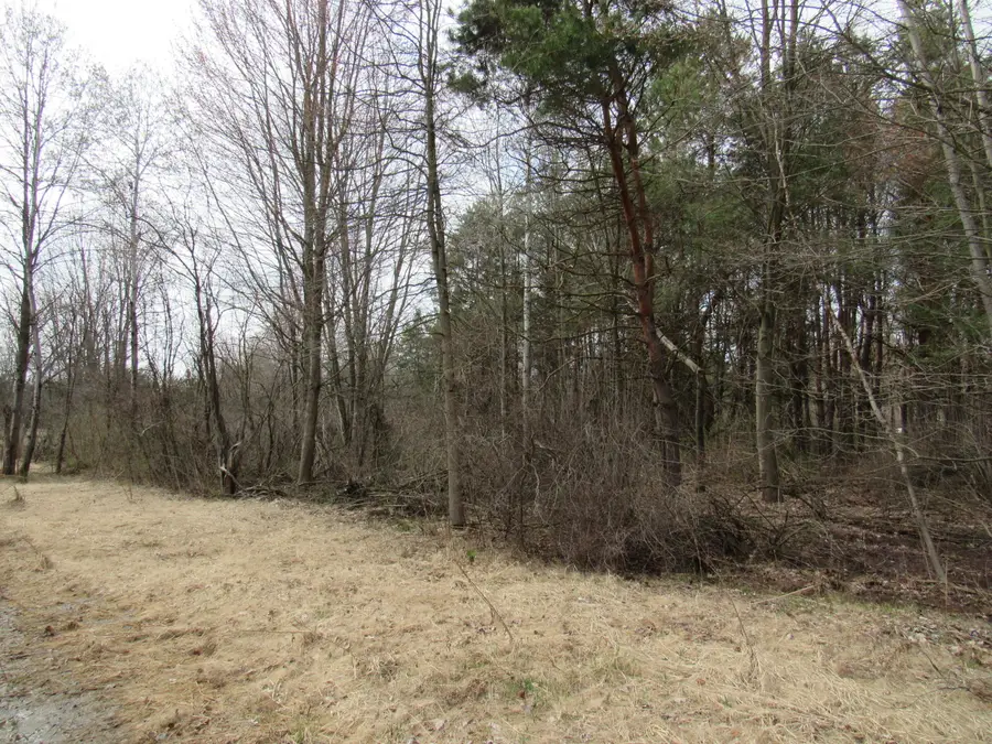 3889 Dalson Road, Twin Lake, MI 49457 - #2