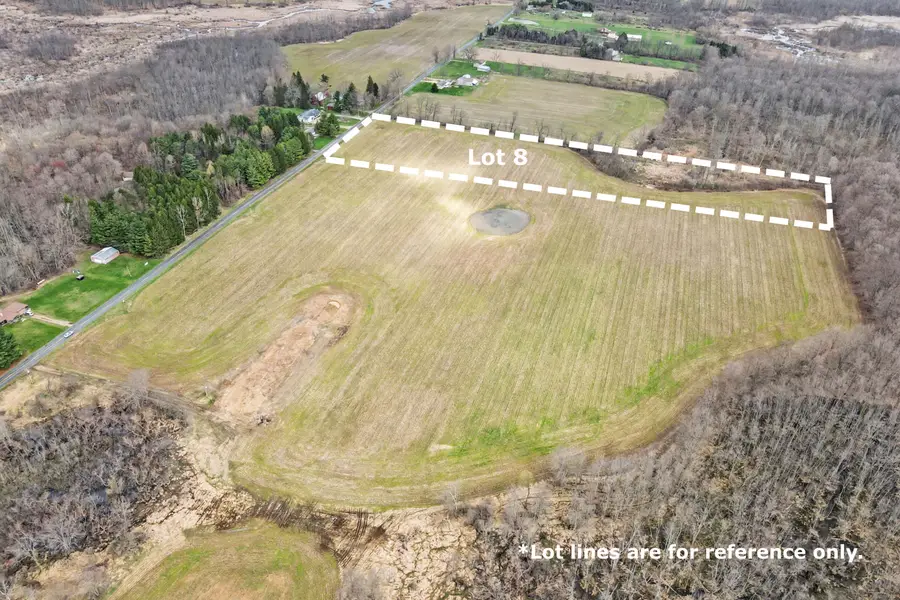 Lot 8 S 2nd Street, Schoolcraft, MI 49087 - #3