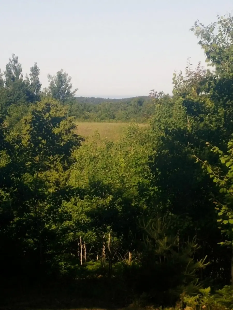 Eagle Ridge Circle #Lot 103, Onekama, MI 49675 - #3