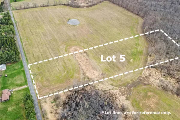 Lot 5 S 2nd Street, Schoolcraft, MI 49087