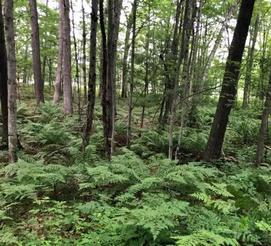 7752 N Felch Avenue, Bitely, MI 49309 - #3