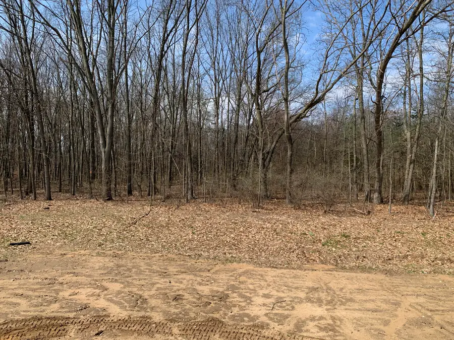 1417 Kimber Drive, Lowell, MI 49331 - #2