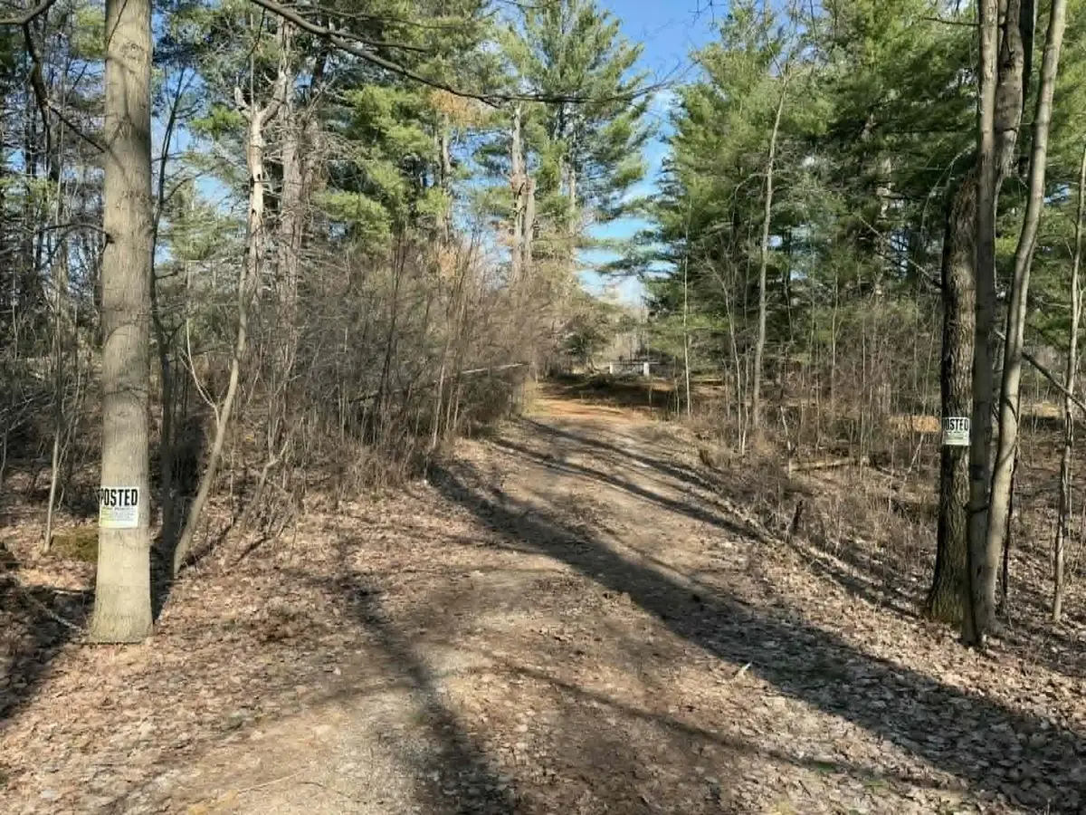 21632 90th Avenue, Evart, MI 49631 - #1