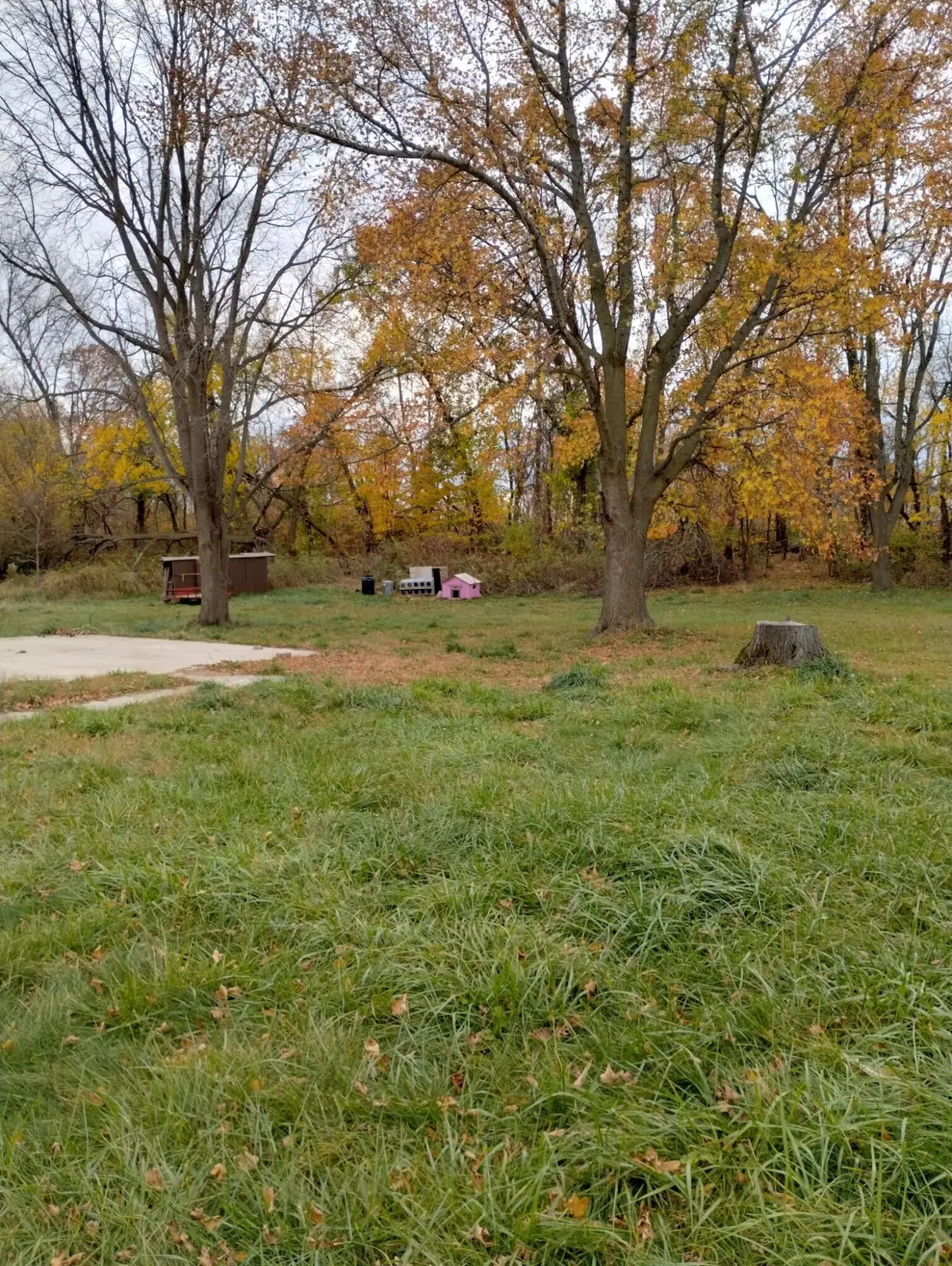 52711 Finch Road, Marcellus, MI 49067 - #1