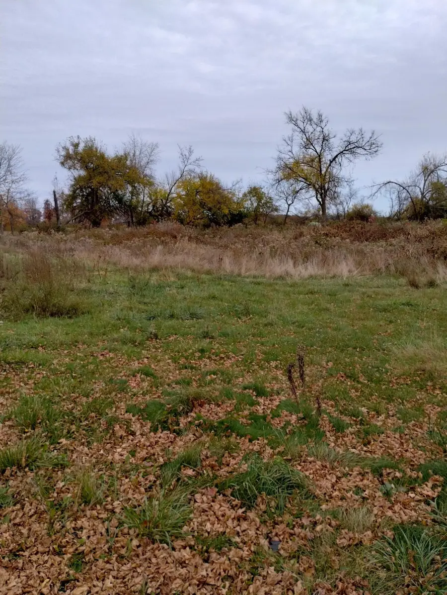 52711 Finch Road, Marcellus, MI 49067 - #2