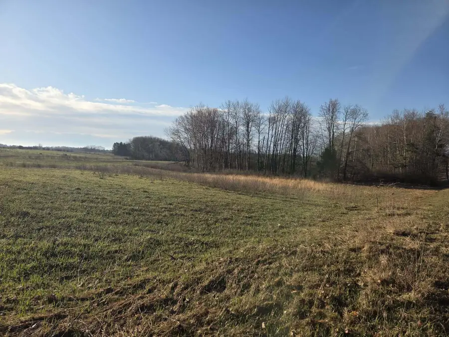VL W Arthur Road, Rothbury, MI 49452 - #2