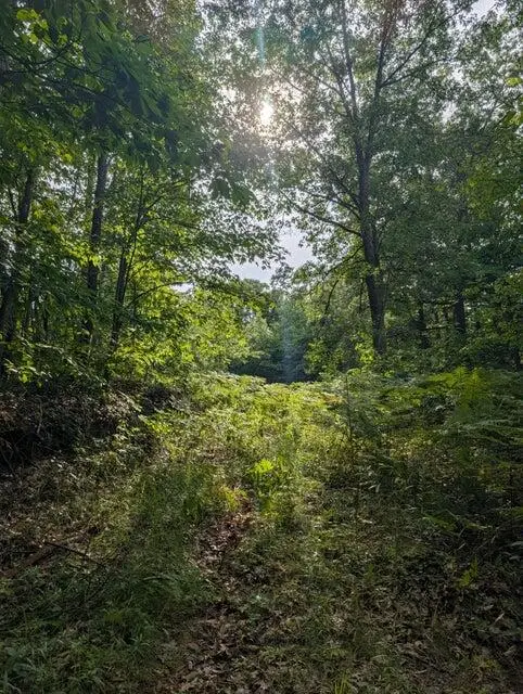 V/L N Weber Road, Muskegon, MI 49445 - #3