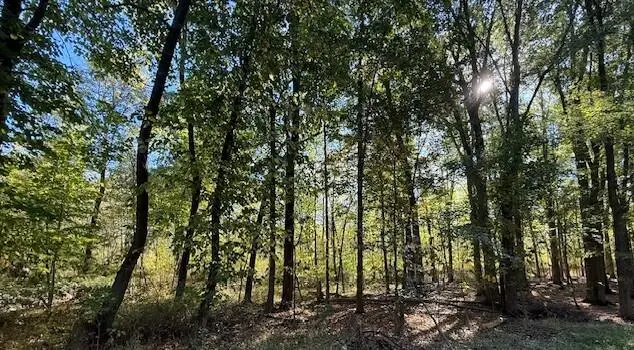 VL Doster Road, Lot#wp001, Plainwell, MI 49080 - #1