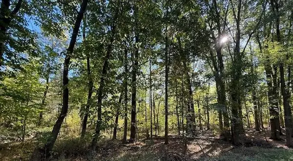 VL Doster Road, Lot#wp001, Plainwell, MI 49080