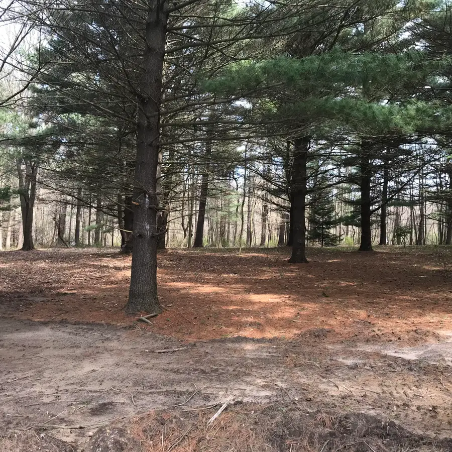 7087 Creekwood Drive, South Haven, MI 49090 - #2