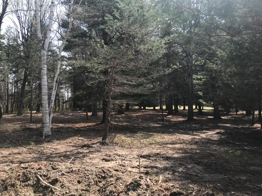 lot 1 Creekwood Drive, South Haven, MI 49090 - #2