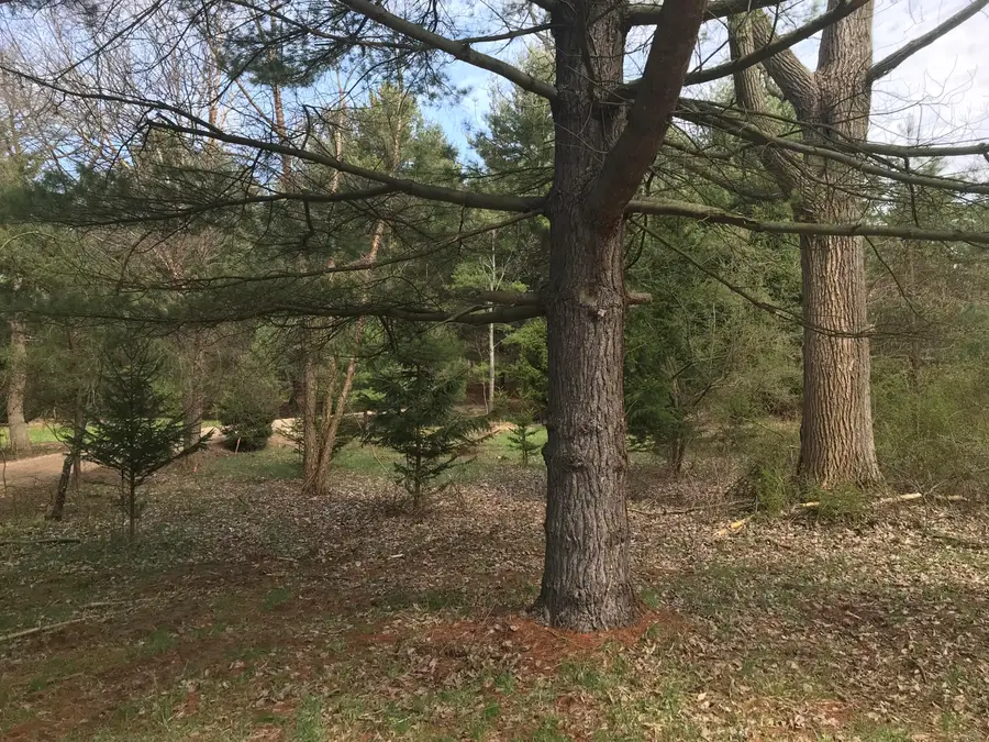 Lot 2 Creekwood Drive, South Haven, MI 49090 - #3