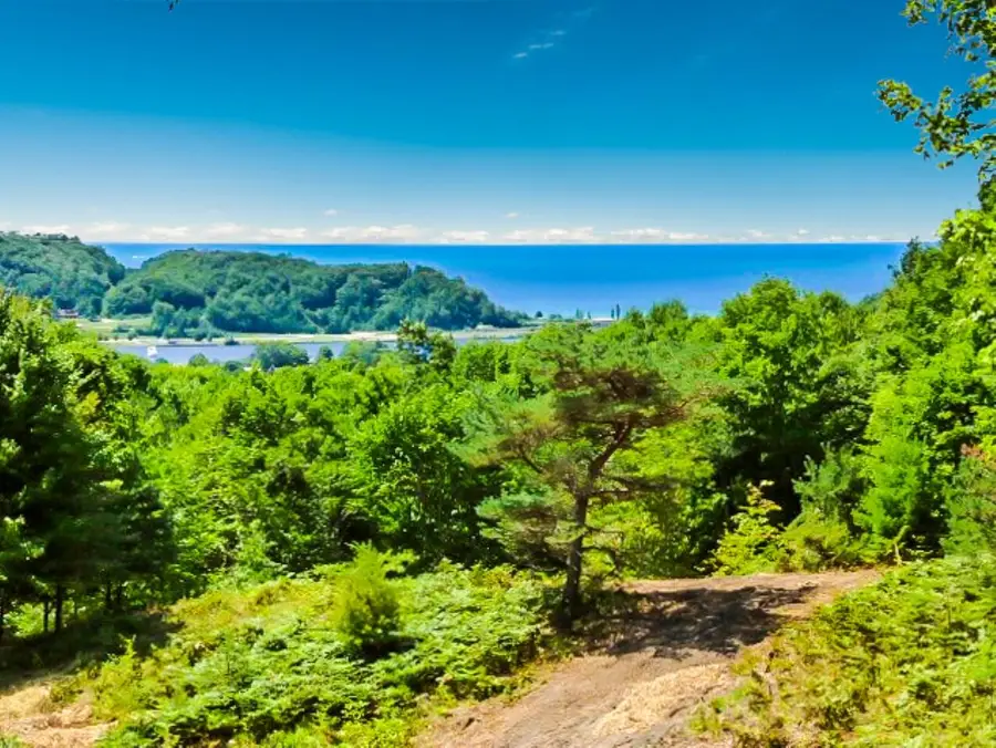0000 Day Avenue, Frankfort, MI 49635 - #3