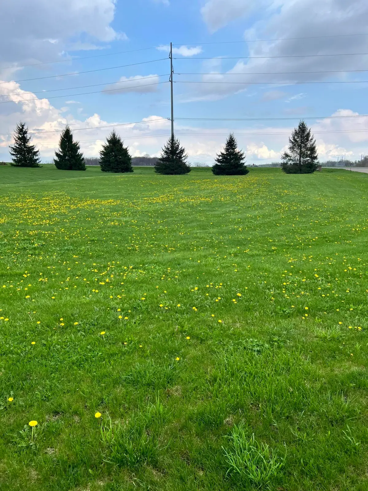 Ryan Road #Lot 12, Marcellus, MI 49067 - #1