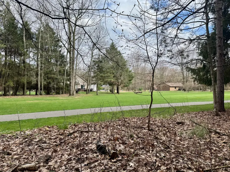 6798 Beechnut Ridge, Canadian Lakes, MI 49346 - #3