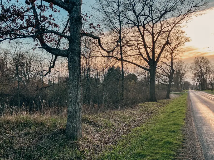 9250 92nd Street Se, Alto, MI 49302 - #2