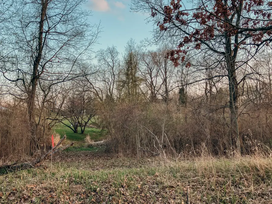 9250 92nd Street Se, Alto, MI 49302 - #3