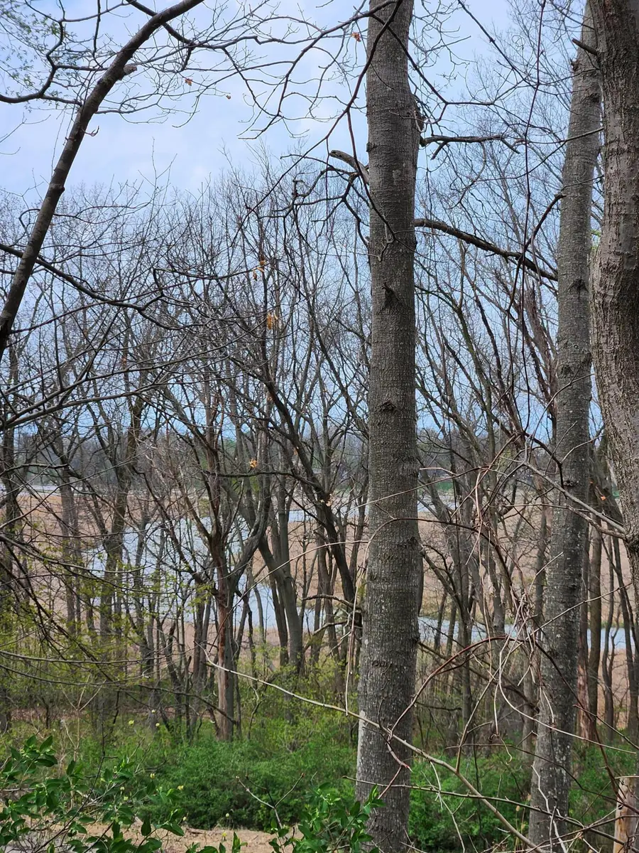 17708 Thunder Road #Lot 10, New Buffalo, MI 49117 - #2