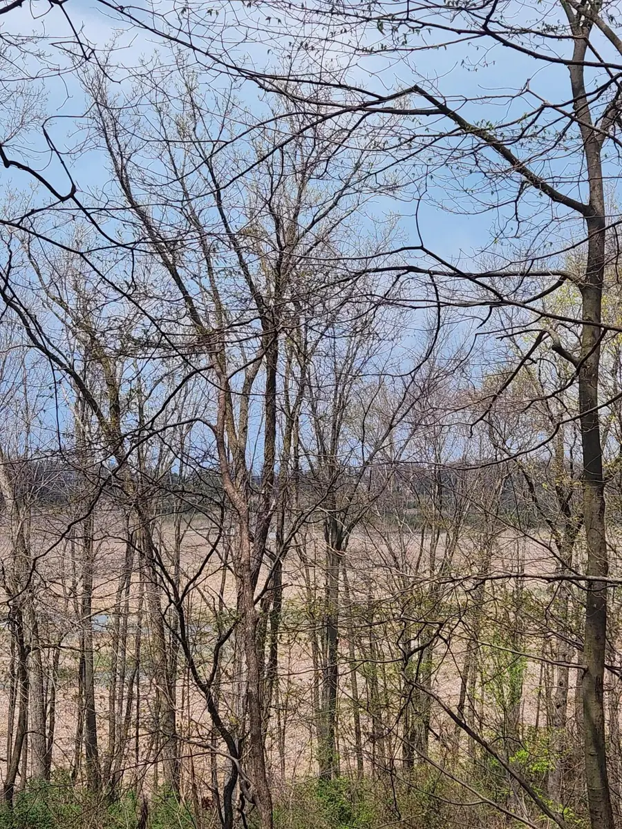 17708 Thunder Road #Lot 10, New Buffalo, MI 49117 - #3