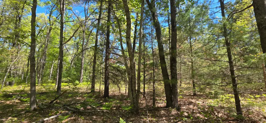V/L E Koenig Road, Free Soil, MI 49411 - #2