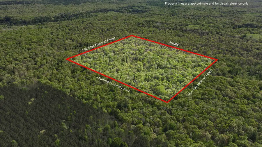 V/L Meade Twp, Free Soil, MI 49411 - #2
