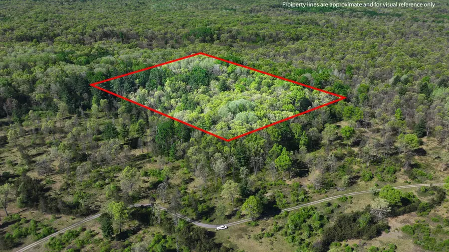 V/L E Hoague Road, Free Soil, MI 49411 - #3
