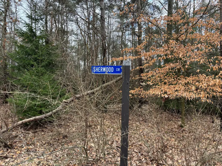 10181 Sherwood Circle #33, Canadian Lakes, MI 49346 - #3