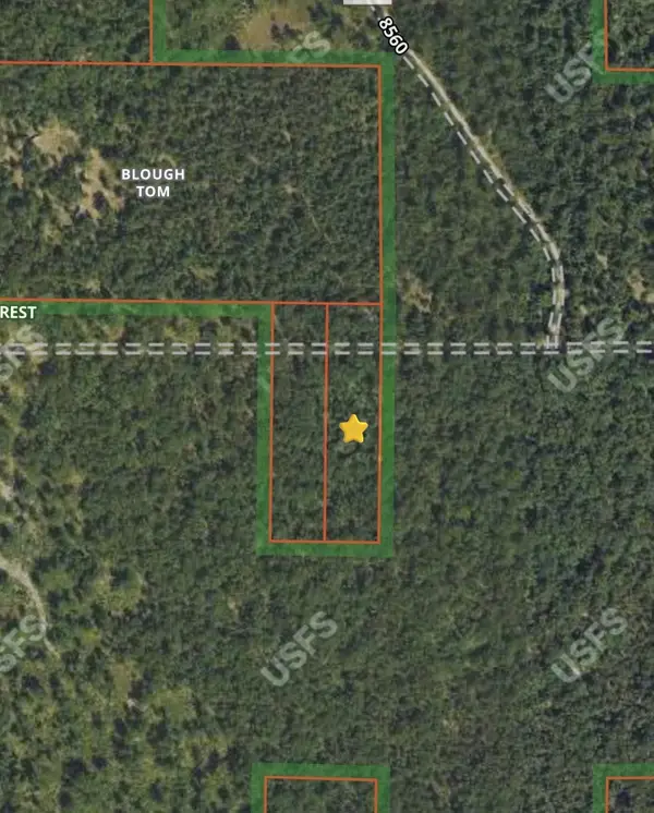 E Hoague Road, Free Soil, MI 49411