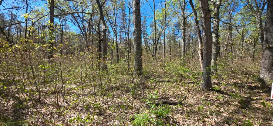 E Hoague Road, Free Soil, MI 49411 - #2
