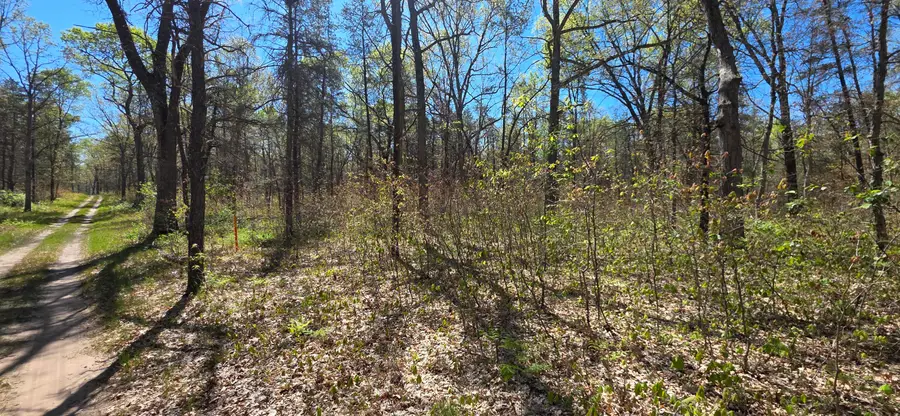 E Hoague Road, Free Soil, MI 49411 - #3