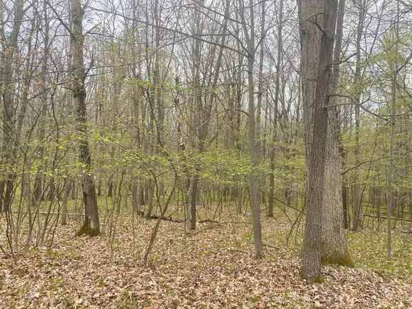 12090 Dubois Drive, Canadian Lakes, MI 49346