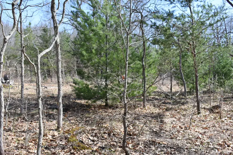 000 S Walhalla Road, Fountain, MI 49410 - #3