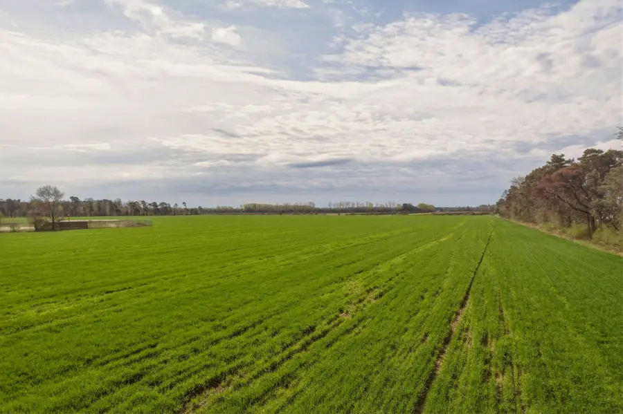 012 Lake Michigan Drive, West Olive, MI 49460 - #3