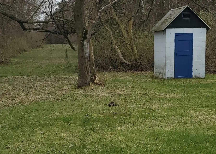 1560 Highland Avenue, Benton Heights, MI 49022 - #3