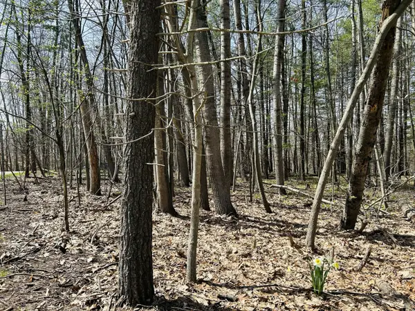 6718 Beechnut Ridge #239, Canadian Lakes, MI 49346