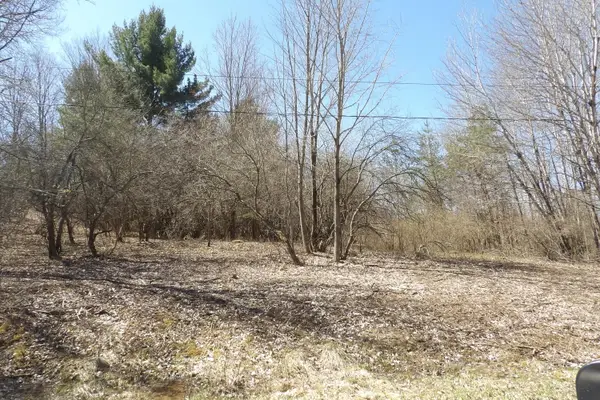 23094 Apache Trail, Evart, MI 49631