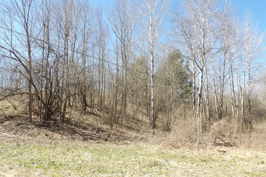 23094 Apache Trail, Evart, MI 49631 - #3